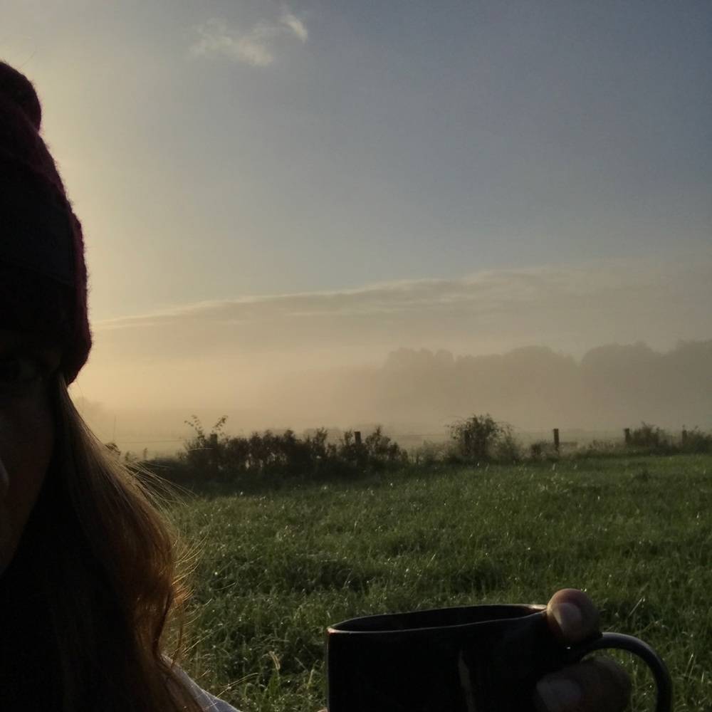 Meet your Posher, Krystle